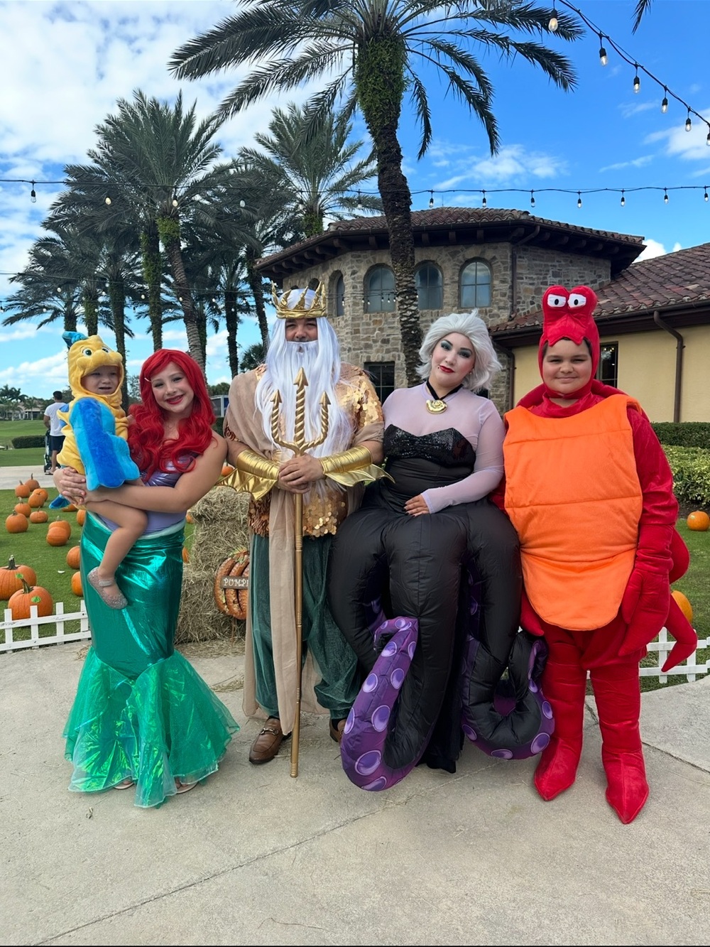 Disney Flounder from the little mermaid costume - Picture 3 of 4